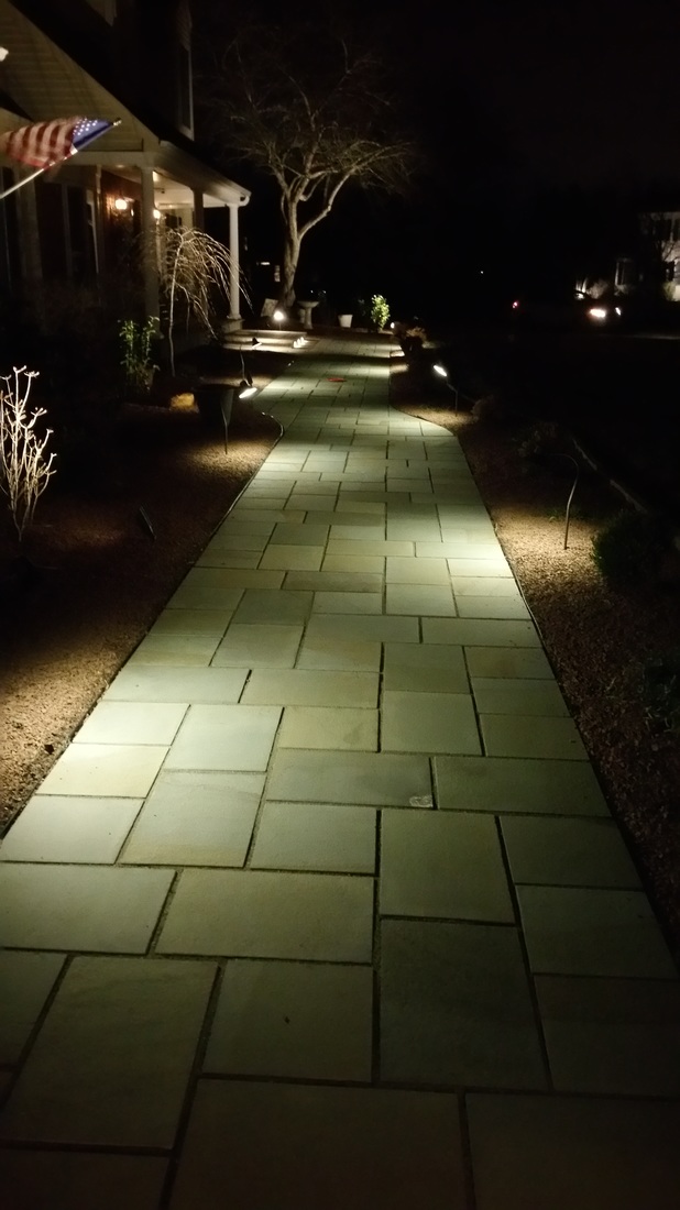 Bluestone walkway with landscape lighting at night