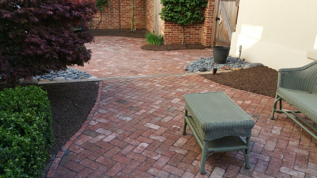 Herringbone brick patio with Japanese maple