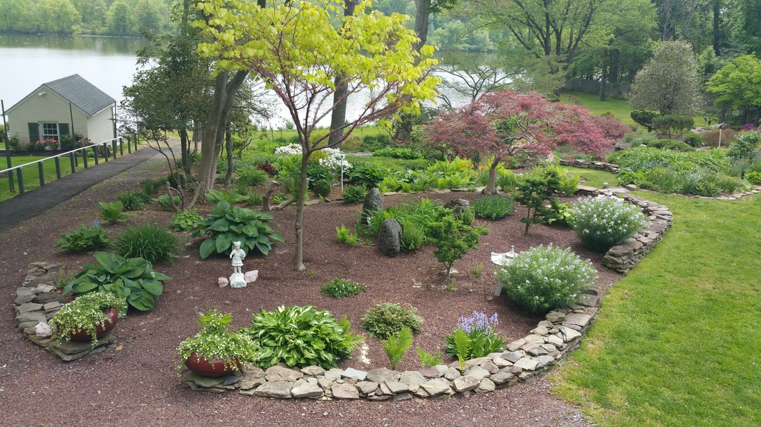 Lush garden landscape by ADP Land Design